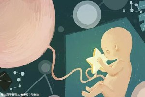 关于三代试管供卵代怀